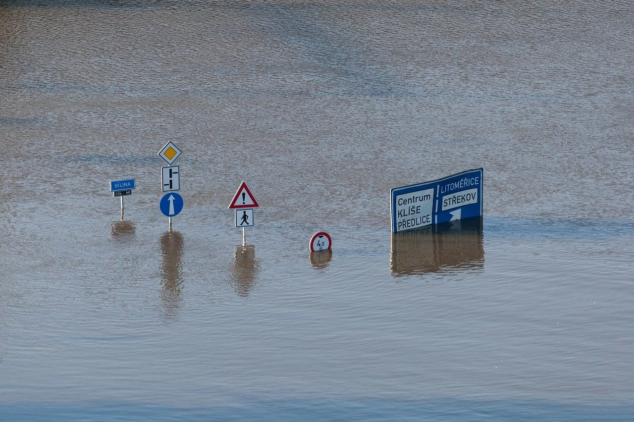 Do we really only have ten years to save the planet?